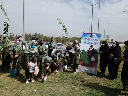 کاشت 60 اصله نهال در محوطه بیمارستان ولی عصر به مناسبت هفته درختکاری 